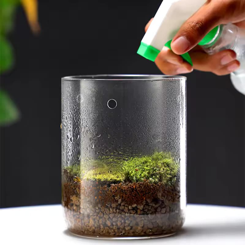 Glass Vase